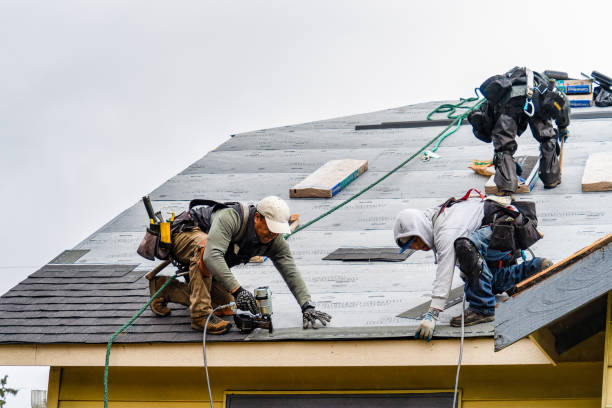 Professional Gutter Installation technician working in Humboldt, TN